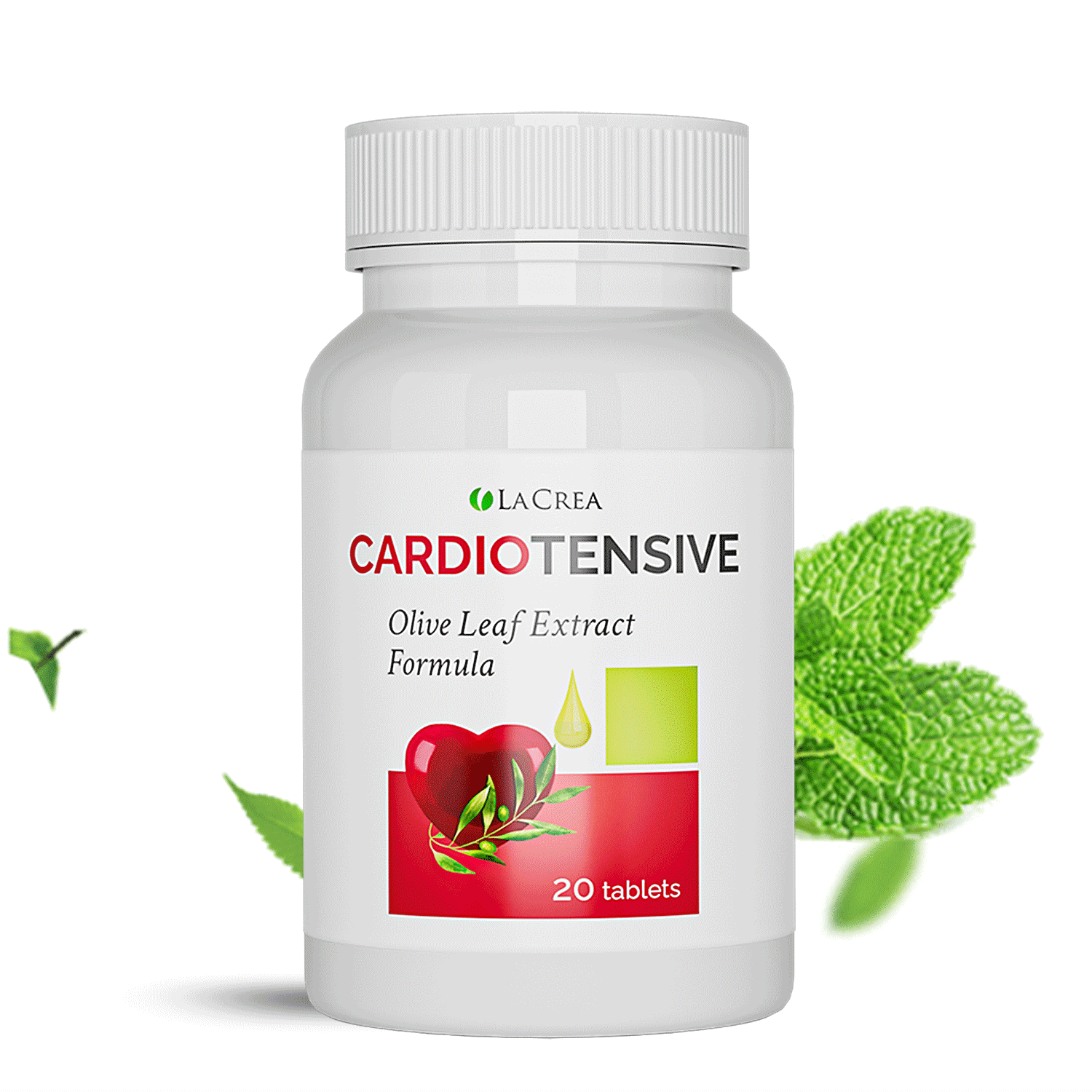 CARDIOTENSIVE – Bild 3