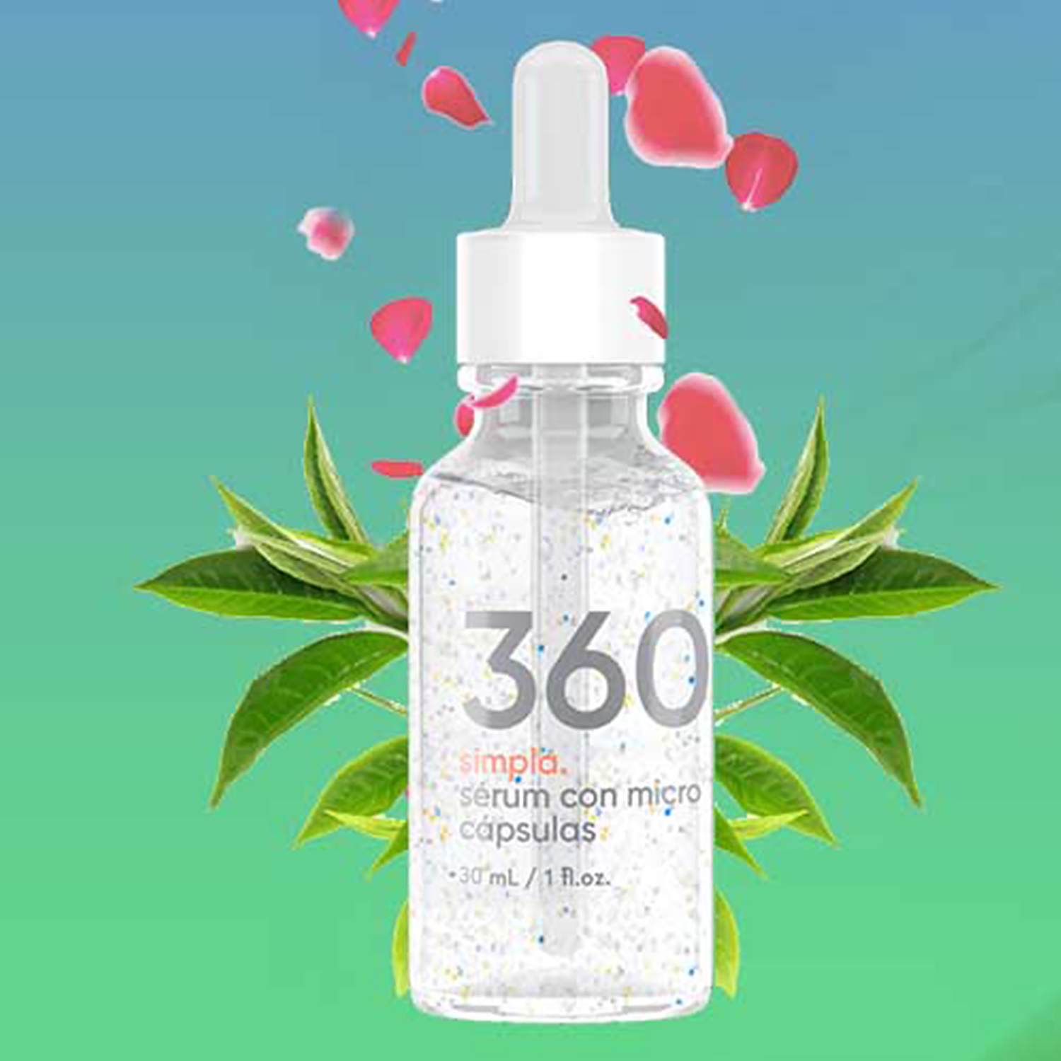 SIMPLA 360 – Bild 3